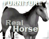 R|C Horse Silver Fv