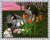 :A: Easter Bunnies