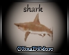 (OD) Mooria Shark