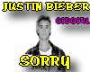 SORRY Justin Bieber
