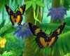 Marigold Butterflies