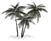 Boho Palm Tree