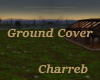 !Ground Cover
