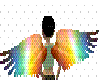Light's Colors wings
