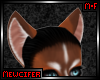 M! Copper Husky Ears 2