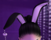W. Bunny Ears V1