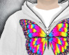Butterfly |Mod|