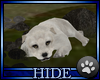 [H] pup -white