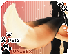 [Pets] Zorro | tail v5