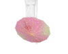 blossom japanese umbrell