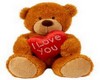 teddy love