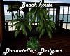 beach house palm