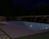 Night Backyard