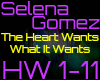 [D.E]Selena Gomez 