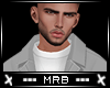 -MrB- Grey Shirt