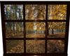 Autumn Window Three
