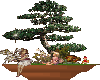 bonsai tree fairys