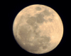 New Moon (AM)