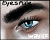 [wayu]Blue Eyes Male