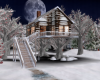 Snowy Xmas Home Forest