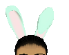 minty bunny ears #2