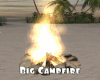 *Big Campfire