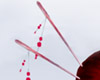 Pink Sakura Chopsticks