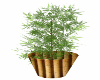 weed plant log