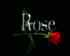 Roses Heart Club