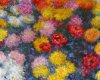 Painting by Monet 6
