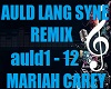 ER- AULD LANG SYNE REMIX