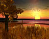 autumn sunset lake room