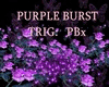 PurpleBurst Trig: PBx