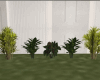 Garden Plant V1