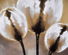 Tulips-Abstract Oil