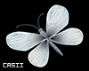 Butterfly White