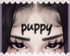 𝓶. puppy