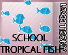 FISH TROPICAL SCHOOL AQU