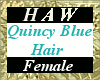 Quincy Blue Hair - F