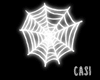 Spider's Web | Neon