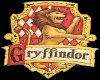 Gryffindor Bundle!