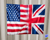 USA/UK Flag