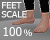 Feet Scale 100%