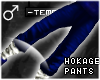 !T Blue hokage pants [M]