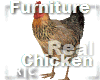 R|C Real Chicken