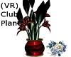 (VR) Club Plant