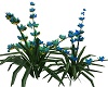Exotic Flower Bleu