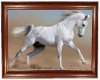 PD~White Arabian Horse