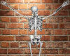 [DR] Wall Skeleton