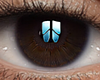✔ Eyes